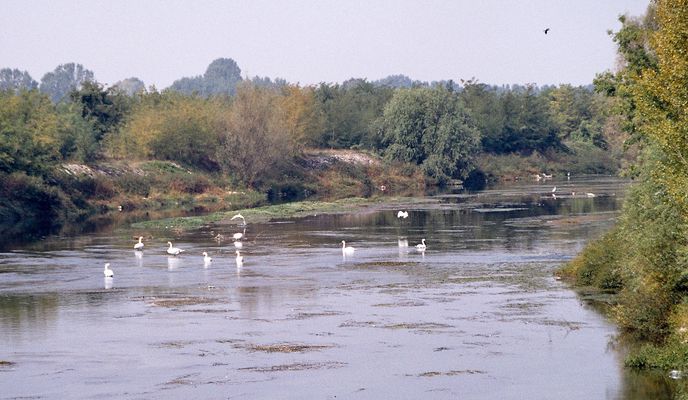 Photo 1 of the Bikemap route "Famiglie in bici, Mantova-Goito A-R"