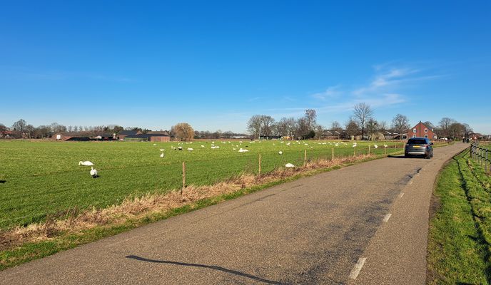 Foto 2 der Bikemap-Route "Brüggen-Kessel-Venlo-Brüggen" Foto 2 der Bikemap-Route "Brüggen-Kessel-Venlo-Brüggen"