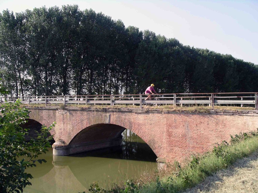 Famiglie in bici, anello foce Secchia Quistello (Mn)