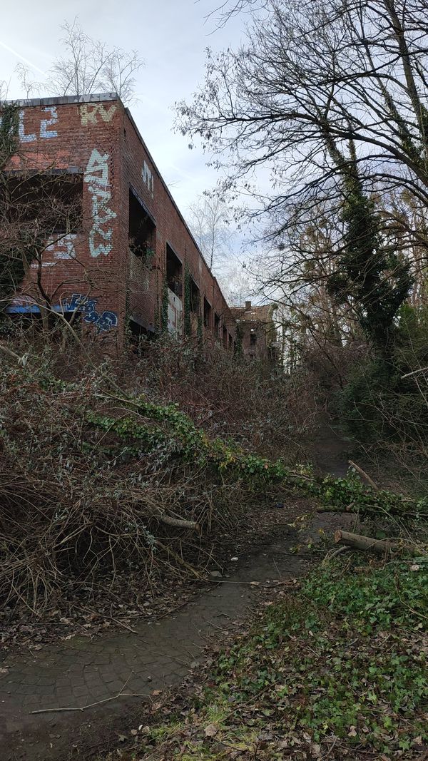 Photo 2: lum01111