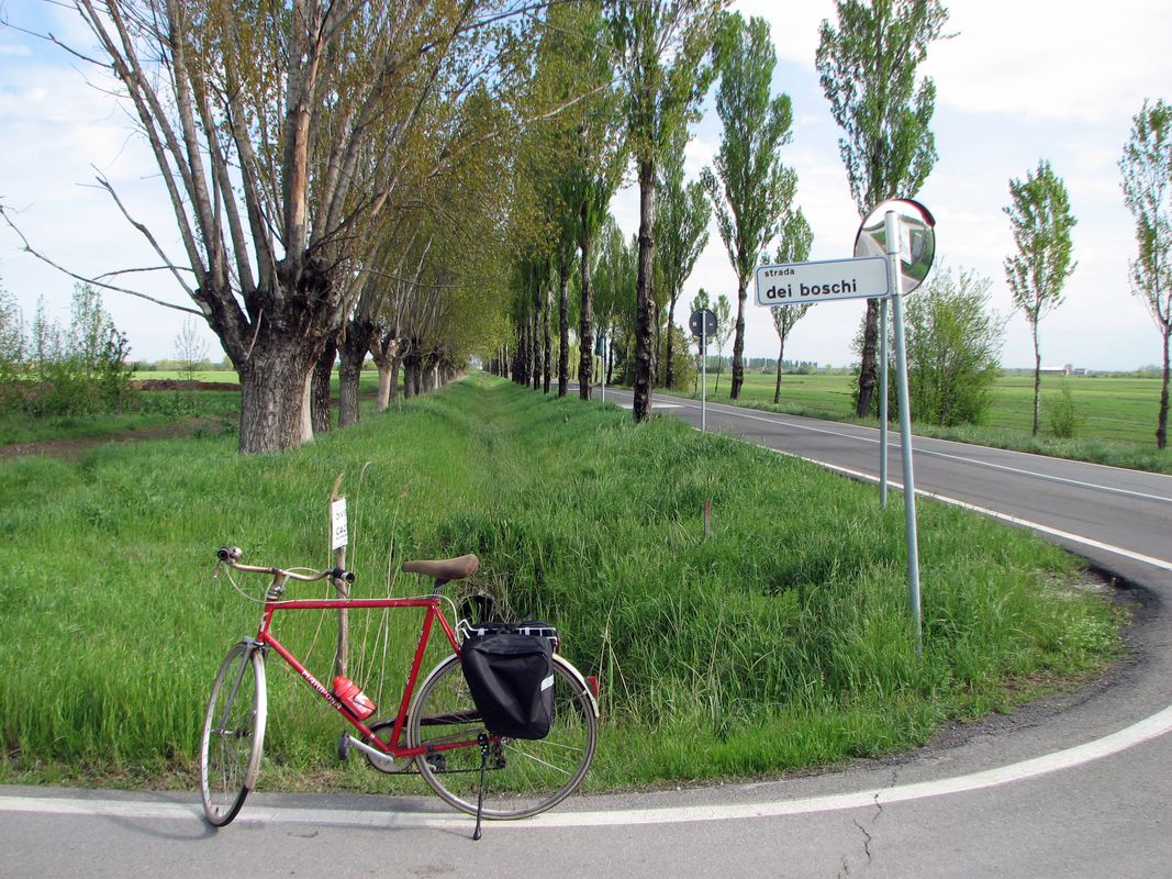Famiglie in bici, anello Novellara - Guastalla 1
