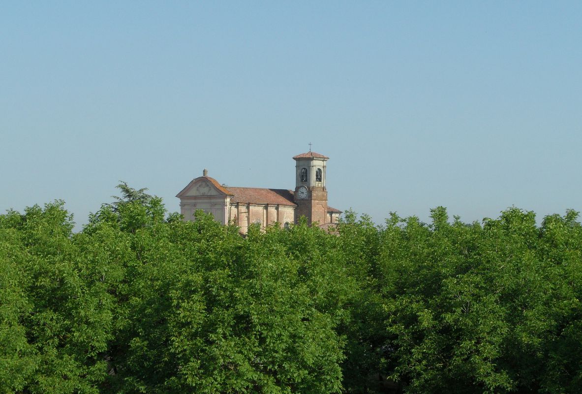Famiglie in bici, anello Viadana - Pomponesco (Mn)