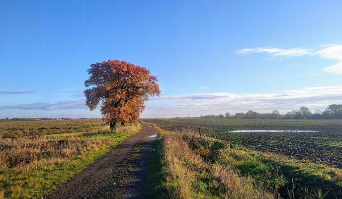 Photo 1 of the Bikemap route "Robin's Wood Loop : Orton Castor Ferry Meadows Longthorpe Thorpe Rd Rivergate Emabankment Stanground Cardea Hampton"