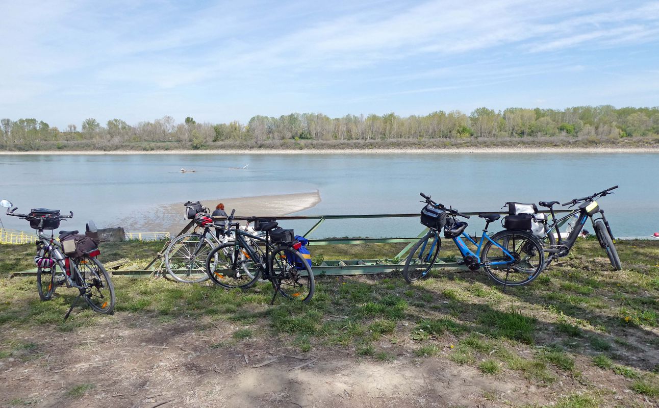 Famiglie in bici, anello delle Rigose a Zibello - Polesine(Pr)
