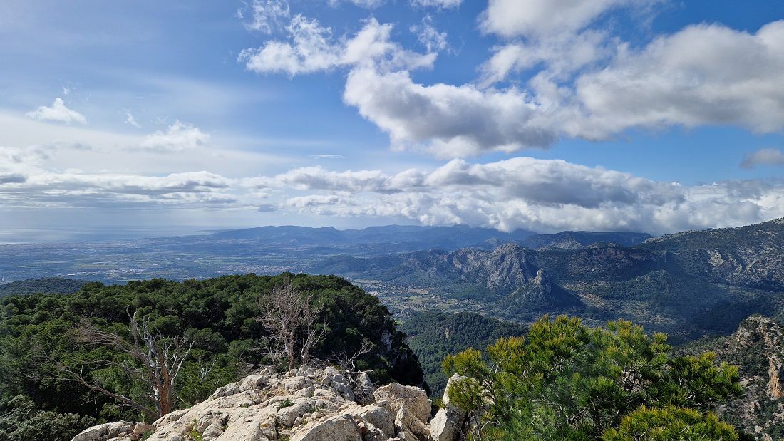 Mallorca a peu: penyal d'Honor pel camí des Grau