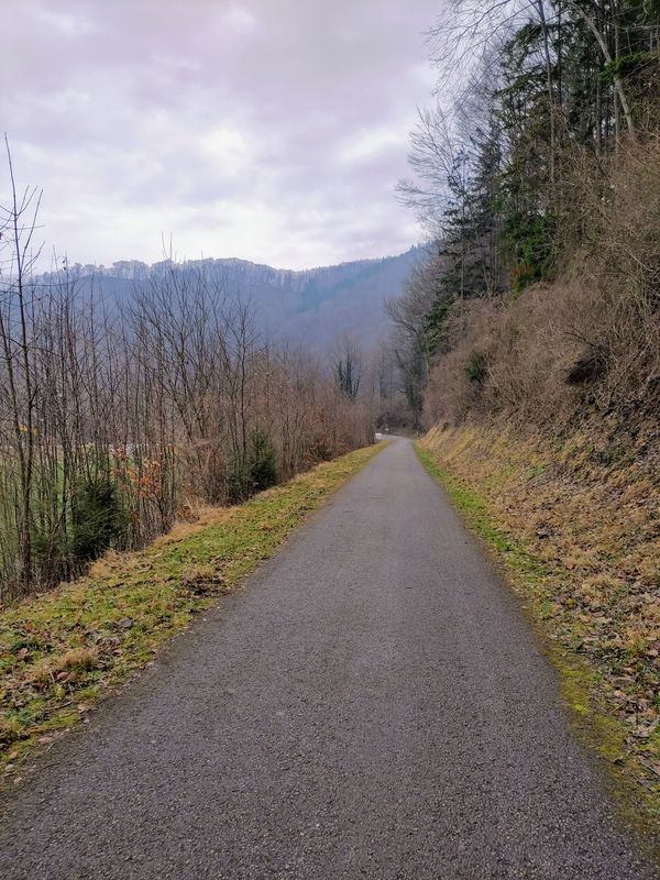 Loich - Pielachtalradweg - Römer Radweg - Sankt Pölten: aka Dirndl-Champignon Cruisen