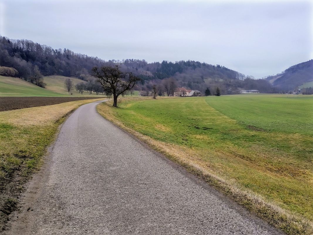 Loich - Pielachtalradweg - Römer Radweg - Sankt Pölten: aka Dirndl-Champignon Cruisen