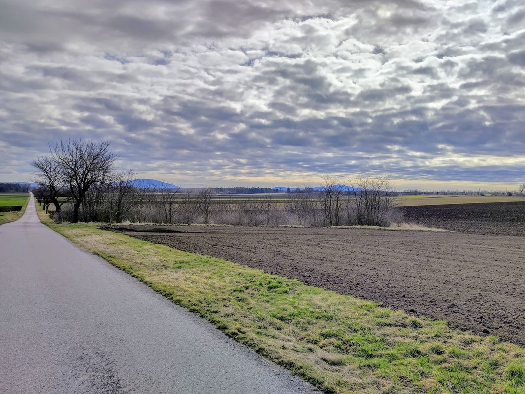 Marchegg Bahnhof - Marchfeld Graveln - Silberwald Bahnhof