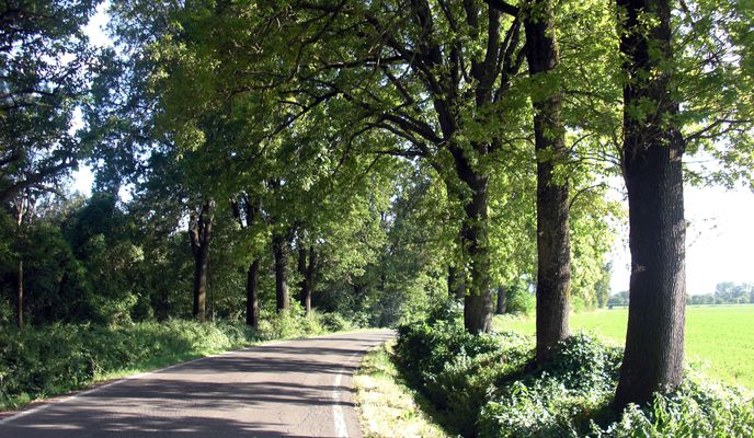 Photo 2 of the Bikemap route "Piacenza to Bologna"