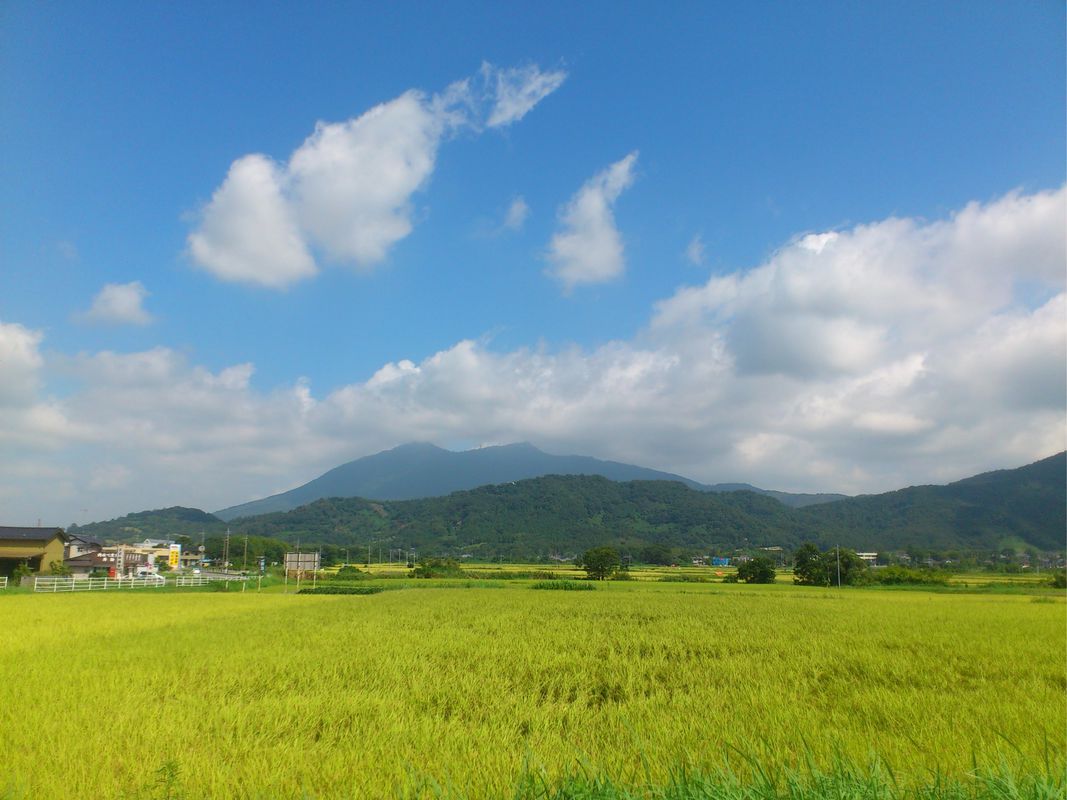 2130901_センチュリーラン笠間 2013
