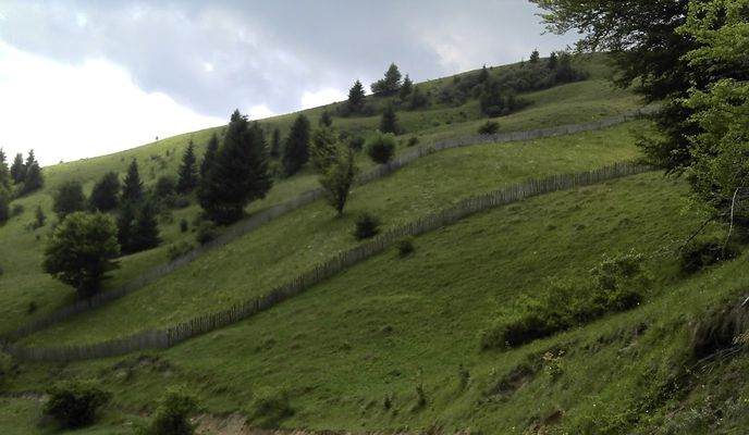 Photo 2 of the Bikemap route "Brebu, Barajul Paltinu, Valea Doftanei, Lutu Rosu, Bertea, Alunis, Brebu"
