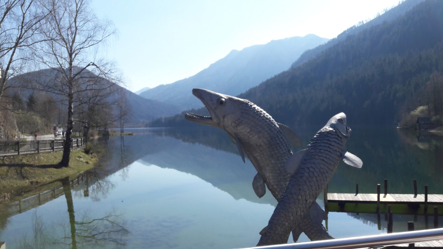 ybbs - lunz am see