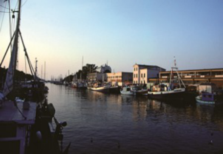 Hebe Bild 3 entlang der Bikemap-Route "03_Kühlungsborn – Heiligendamm – Warnemünde" hervor