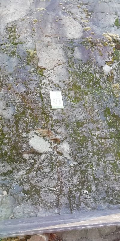 Percorso moderato in Vialfrè