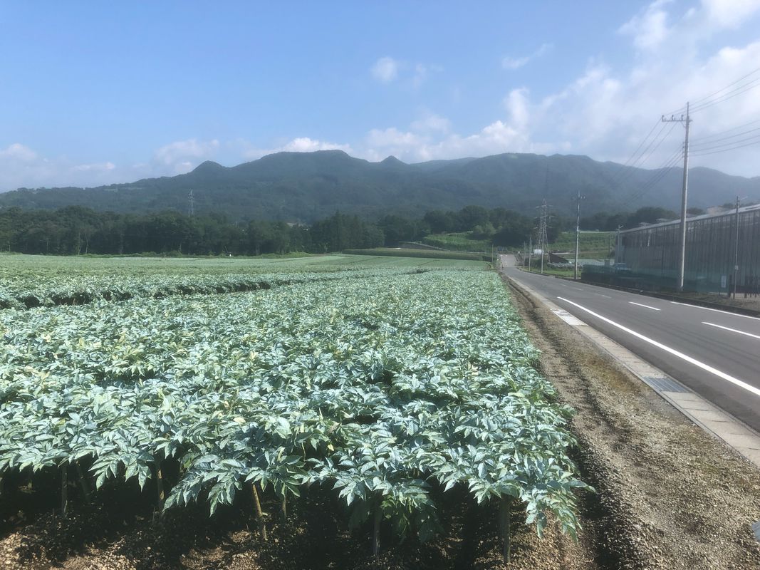 望郷ライン センチュリーライド 2019