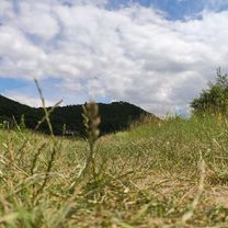 От Vörösvári út 107, Budapest до Március 15. tér 2, Budapest