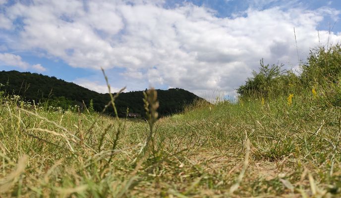 Photo 1 de l’itinéraire Bikemap « От Vörösvári út 107, Budapest до Március 15. tér 2, Budapest »