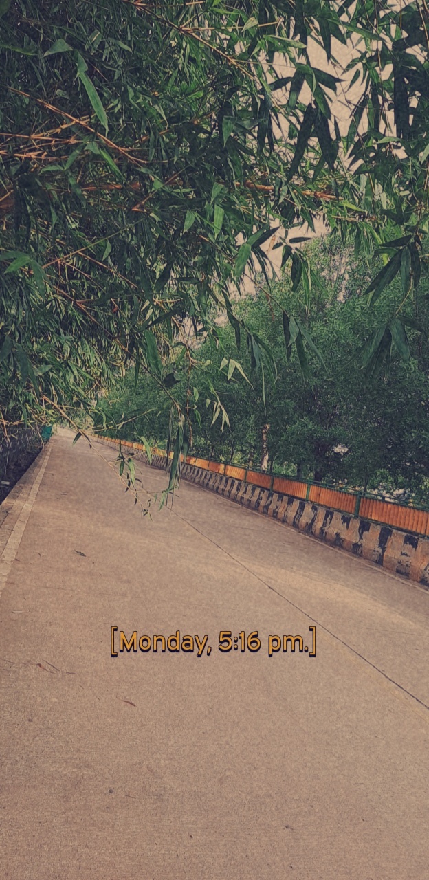 Mosque Road, Raipur to Airport Raipur.